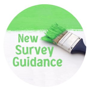CMS Revised Surveyor Guidance